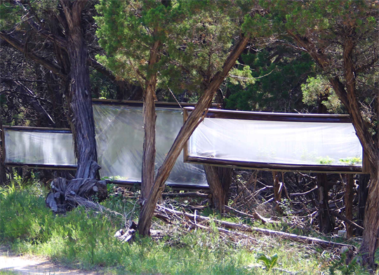 Living Walls Art Museum 
Natural Nature By Dapacu Artist